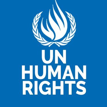UN Demands Probe into Deadly Indonesia Protest Violence! — UN Human Rights Violations Indonesia, Indonesia Protests 2025, Government Accountability in Indonesia