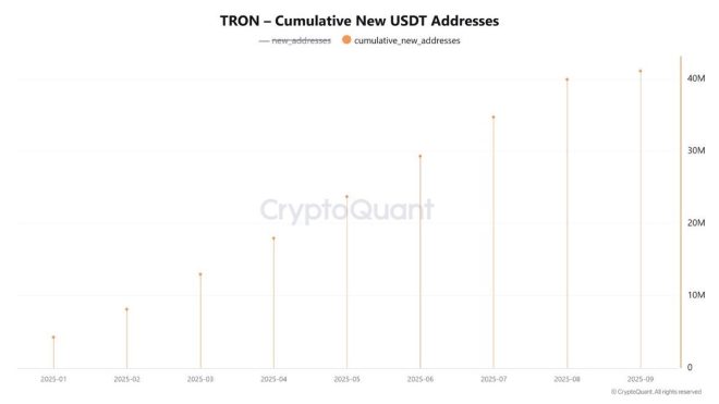 USDT on TRON: 41M Wallets—Is This the Future of Crypto? —  USDT wallet growth, TRON blockchain milestones, cryptocurrency adoption trends