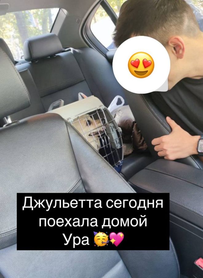 "Ждем долгожданные новости: Жули ждет новую жизнь!" — Долгожданные изменения для Жули, Новая глава для друзей, Радостные новости в 2025