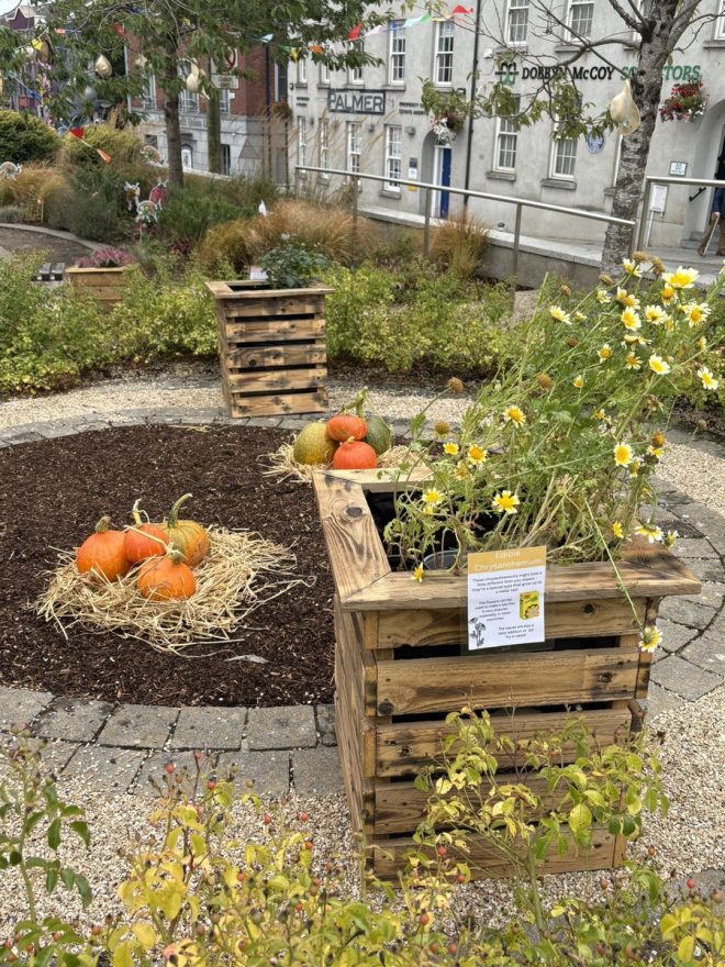 Не упустите возможность отведать чудо-булку с рваной говядиной на Harvest Festival в Уотерфорде! 🌟✨🍔🎉 —  Harvest Festival в Уотерфорде, булка с говядиной, явления в сентябре