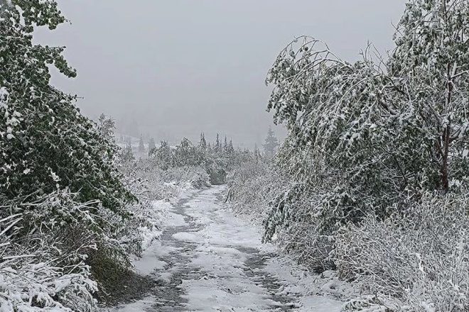 "Таинственный снег в сентябре: необычные явления на юге Красноярского края! #интересно" — снегопад в сентябре, погода в Красноярске, климатические изменения