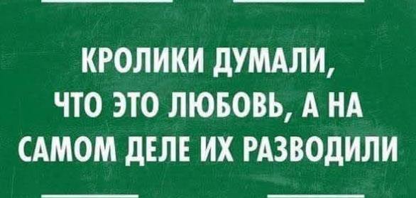 "Тайны Верхушки ШОС и Китайского парада: Что скрывается за новостями?" — верхушка ШОС, главная цель, Китайский парад