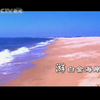《朝闻天下》中场广告揭示了什么秘密？ —  中央广播电视总台, 新闻频道广告, 哔哩哔哩视频分享