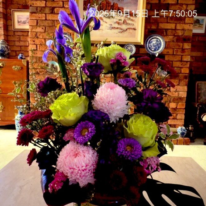 一觉醒来，昨日疲惫已消失，真相却惊人！ —  轻松生活，悠闲早晨，新闻揭发事件