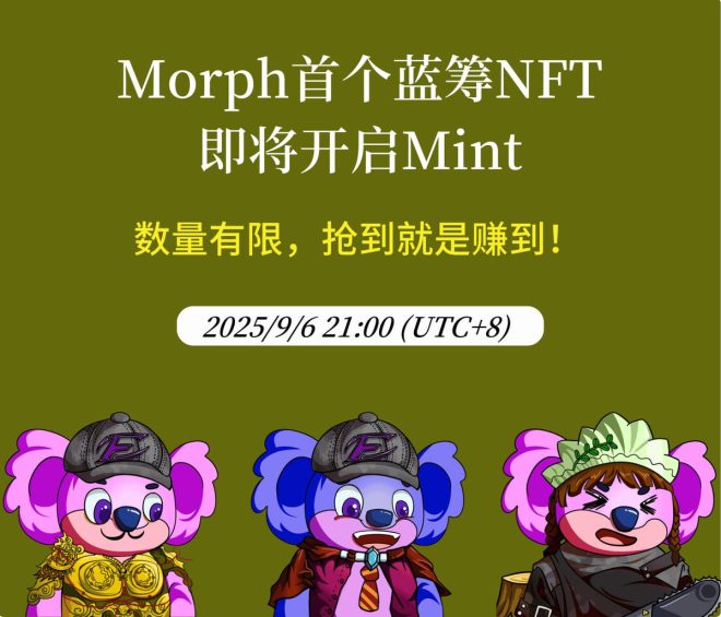 不可错过！Koala NFT 抽奖活动火热开启！ —  Morph NFT 抽奖活动, 蓝筹 NFT 潜力投资, Bitget 支持 Morph 生态