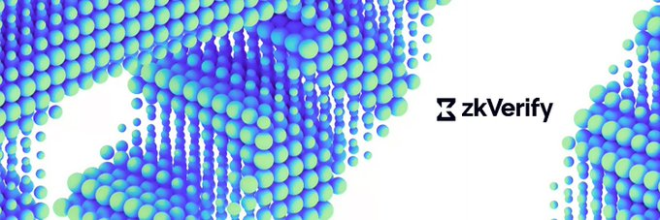 专注验货的ZKVProtocol：ZK领域的新亮点 —  零知识证明应用, ZK生态系统发展, 高效证明验证服务