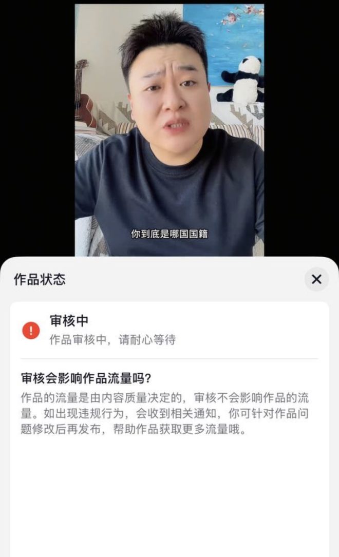 东北大妈在日本地铁的隐秘风波 —  抖音事件, 网络暴力, 视频下架