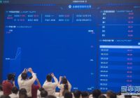 中國碳市場：全球最大，將如何影響未來？ —  碳中和目標, 環境保護政策, 可持續發展戰略
