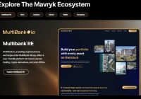 为什么Mavryk是基础设施博弈的黑马？ —  基础设施投资, 去中心化应用, SaaS 白标解决方案