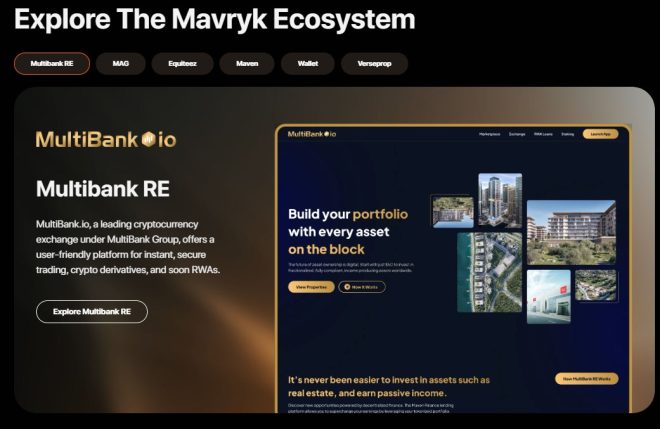 为什么Mavryk是基础设施博弈的黑马？ —  基础设施投资, 去中心化应用, SaaS 白标解决方案