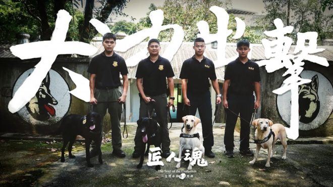 九三軍人節前夕，軍犬的秘密生活揭曉！ —  九三軍人節, 軍犬訓練, 中華文化傳承