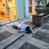 于朦胧坠楼视频曝光，真相令人震惊！ —  于朦胧事件解析, 2025 哔哩哔哩热门视频, 明星坠楼真相揭秘