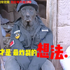 他为了女友，做出了惊人之举！ —  国外情侣幽默创意, 男子追女友趣事, 外国恋爱搞笑视频
