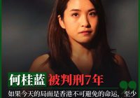何桂蓝：记者的勇气与香港的未来 —  香港民主运动, 言论自由受限, 法律与政治迫害
