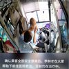 公交意外惊心动魄，司机如何逆境求生？ —  行车安全措施, 公交驾驶员应急处理, 乘客安全保障技巧
