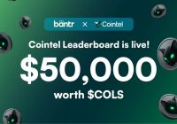 创作者活动揭秘：Cointel与Bantr的奇妙结合 —  创作者活动, 社交互动平台, 数据情报引流