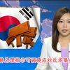 南韩总理的强硬应对:背后真相揭秘! —  南韩政治动态, 反华集会分析, TVB新闻报道