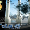 反控枪者被“回旋镖”击倒，真相揭晓！ —  反枪支暴力, 枪支管控政策, 社会安全问题