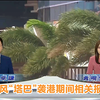 台风“塔巴”来袭！你知道有哪些影响吗？ —  台风新闻, 香港天气预报, TVB新闻报道