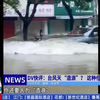 台风天冲浪？六旬司机被拘十日真相！ —  台风驾驶安全, 珠海交通事故, 行政拘留案例