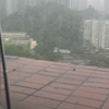 台风桦加沙来袭！香港电台独家报道揭秘 —  台风新闻直播, 香港电台转播, 自然灾害视频