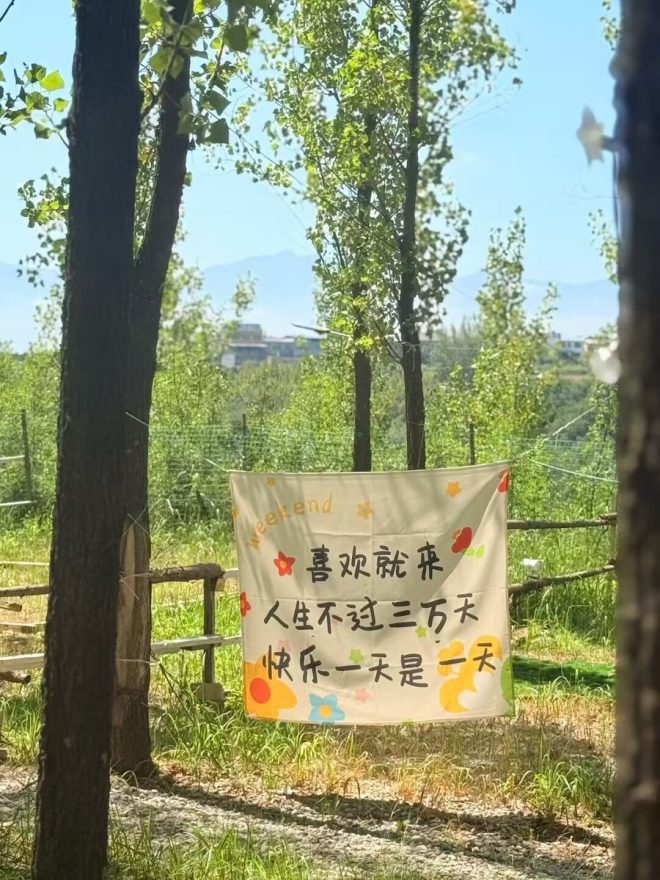 大半年忙碌无果，如何逆转亏损命运？ —  牛马生活反思, 快速回本策略, 亏损管理技巧