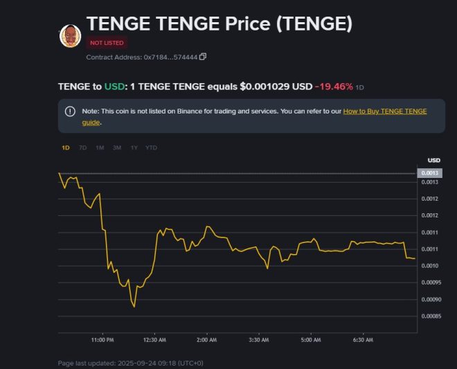 家人们，Tenge 新时代即将来临！你准备好了吗？ —  家族投资, 数字货币趋势, Tenge 项目动态