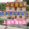 山村豪宅内的秘密：命案背后真相揭秘 —  豪华别墅案件, 上海命案真相, 山村悲剧事件