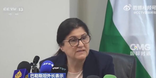 巴勒斯坦外長：承認巴國的背後真相是什麼？ —  巴勒斯坦和平進程, 巴勒斯坦國際承認, 約旦河西岸衝突解決