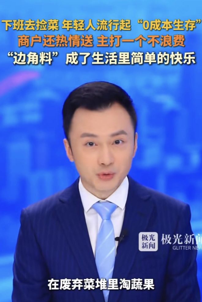 年轻人捡菜？背后的真实原因令人深思！ —  年轻人捡菜潮流, 自媒体炒作现象, 社会变迁与饮食习惯