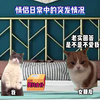 情侣日常意外事件：你绝对想不到的瞬间！ —  情侣生活中的意外事件, 情侣互动趣事, 日常生活中的小惊喜