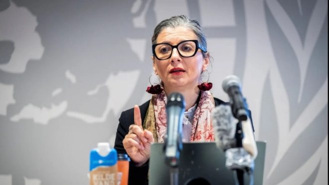 惊人真相：加沙伤亡人数竟是官方10倍！ —  阿尔巴内塞, 加沙真实伤亡, 巴勒斯坦人道危机