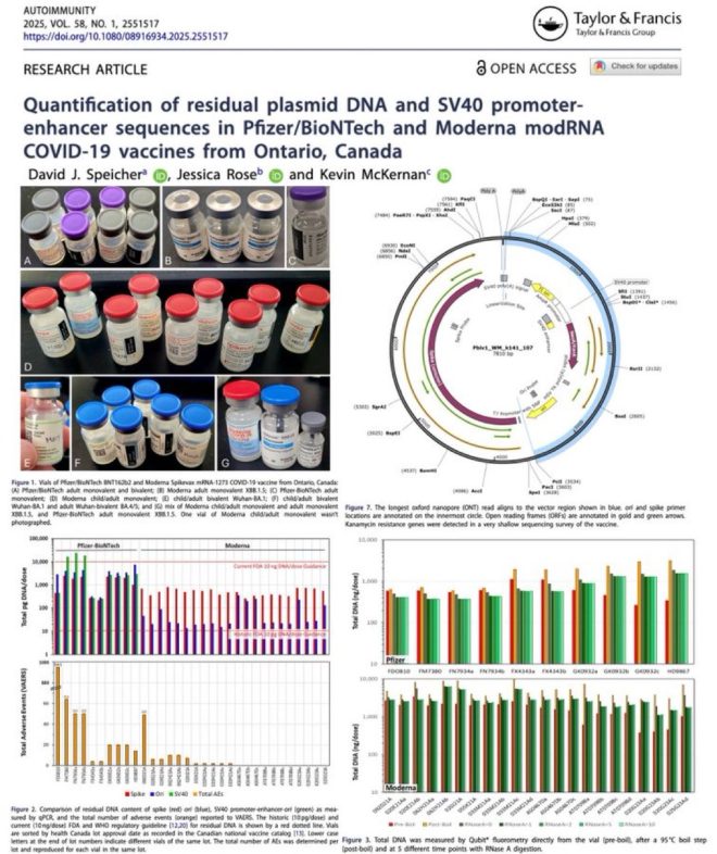 惊天发现：辉瑞和Moderna疫苗竟含超标DNA！ —  突发疫苗安全性, mRNA疫苗研究结果, DNA污染风险分析