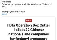 惊天大案！22名中国公民涉芬太尼贩毒 —  芬太尼贩运, 中国公司洗钱, 美国大陪审团起诉