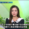 惊险！住户在风球下竟冒险修冷气？ —  TVB新闻热点, 风球安全警示, 楼宇维修指南