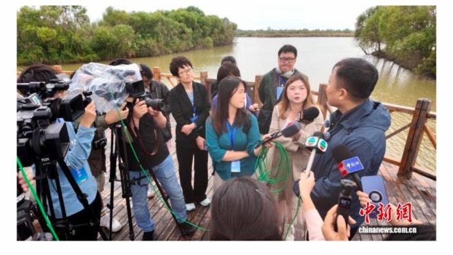 探秘山东：外媒如何解锁绿色蝶变密码？ —  外媒看中国, 山东绿色发展, 国际记者采访活动