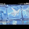 揭秘CCTV-4：2012年中国新闻独家幕后 —  国际新闻报道, 电视广告创意, CCTV节目回顾