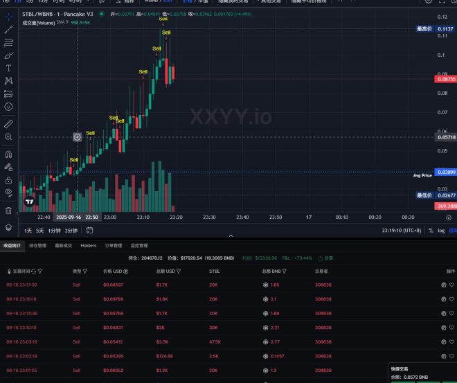 揭秘$STBL：泰达创始人背后的惊人故事！ —  新币投资, FOMO趋势分析, 区块链项目研究