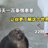揭秘！每天一百条热点信息的秘密 —  热点资讯, 世界观察, 助眠视频