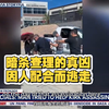 揭露真相：泰勒逃亡背后的惊天阴谋! —  暗杀案件分析, 嫌疑犯心理, 性侵儿童犯罪调查