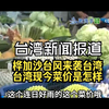 桦加沙台风来袭，菜价暴涨的背后是什么？ —  台湾天气预报, 2025年台湾物价, 台湾自然灾害影响