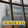 桦加沙的真相，谁敢再小看它？ —  看桦加沙的真实面貌, 哔哩哔哩精彩评论, 桦加沙旅游攻略