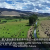 每日英语新闻揭秘：你不知道的九月真相！ —  每日英语新闻更新, 中英字幕学习, 哔哩哔哩英语频道2025