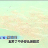 污水管爆裂！泳客竟浑然不觉？ —  海滩游泳安全, 香港污水处理, 南区环境污染