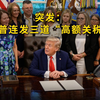 特朗普高额关税令背后隐藏的秘密是什么？ —  特朗普关税政策, 中美贸易战动态, 2025全球经济影响