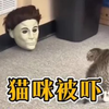 猫咪奇遇记：你绝对想不到的惊吓故事！ —  太吓人了, 猫咪搞笑视频, 哔哩哔哩热门动画