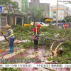 珠江风暴来袭：阳江受灾真相大揭秘！ —  珠江台风灾后恢复, 阳江清理工作进展, 广东自然灾害应对措施