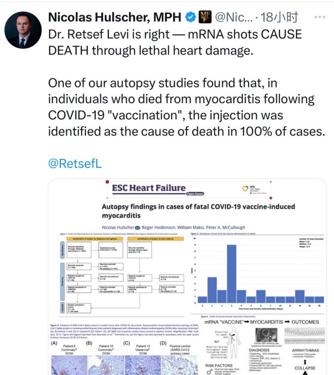 疫苗真相：心肌炎与死亡的惊人关联！ —  mRNA 疫苗 心脏损伤, 新冠疫苗 心肌炎, 疫苗 副作用 研究 2025