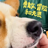 突发！小丁日常直播中阿墩紧急送医！ —  豫西小丁直播, 阿墩送医事件, 2025年网络直播动态