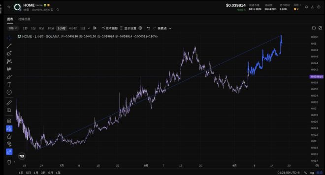 突破在即！$HOME能否攻克0.05关口？ —  守住支撑位, 突破高点分析, 多头市场信号